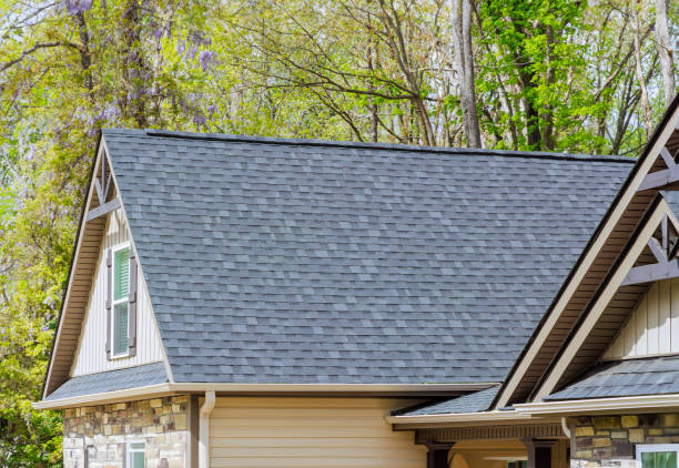 Best Sheet Metal Roofing  in Stafford, TX