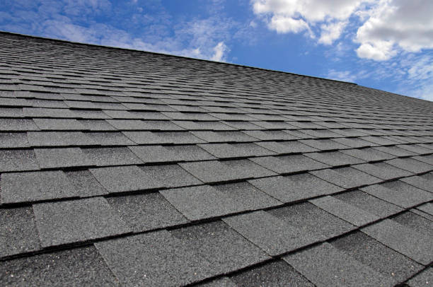 Best Steel Roofing  in Stafford, TX